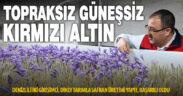 Denizlili iki girişimci dikey tarımla safran üretti