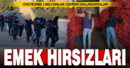 2 milyon liralık ceviz dolandıran 11 kişi yakalandı