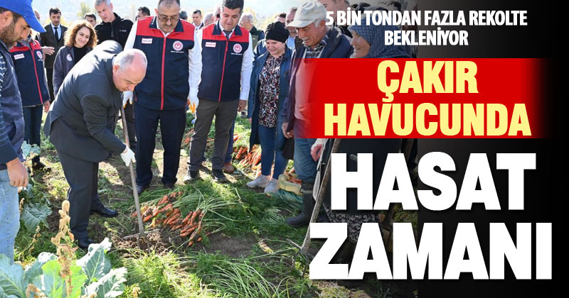 Denizli’nin havuç deposu Çakır’da hasat başladı
