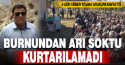 Burnundan arı soktu, hayatını kaybetti