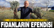 Yılda 2 milyon fidan üretiyor