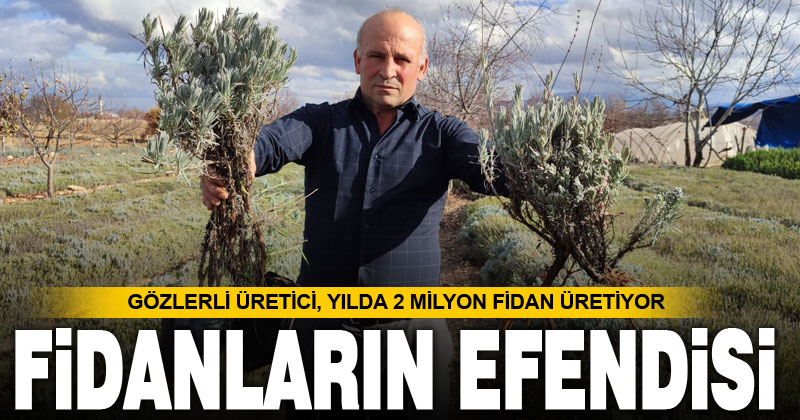 Yılda 2 milyon fidan üretiyor