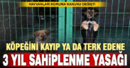 Hayvanları Koruma Kanunu değişti: Yeni düzenlemeler var