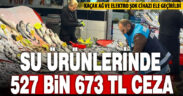 Su ürünleri denetiminde 43 kişi ve işletmeye 527 bin TL ceza