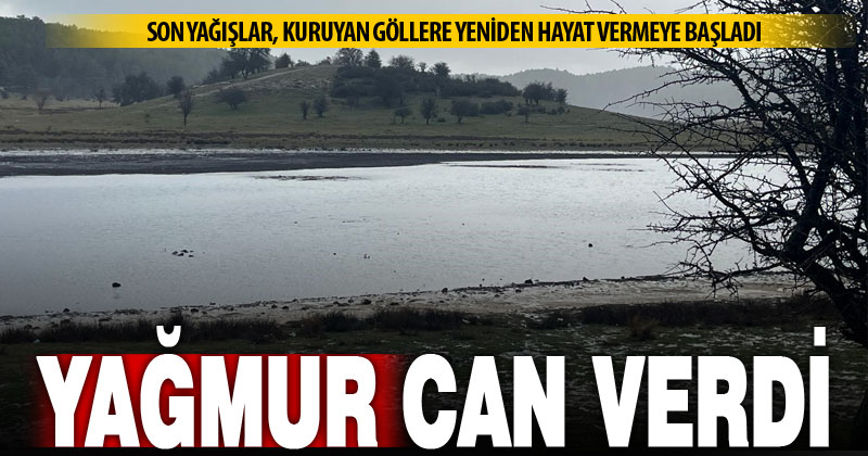 Kuraklıkla mücadele eden Yayla Gölü yağışlarla can buldu