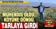 Ziraat mühendisi olup köye dönen genç, tarladan sürekli kazanç formülü buldu