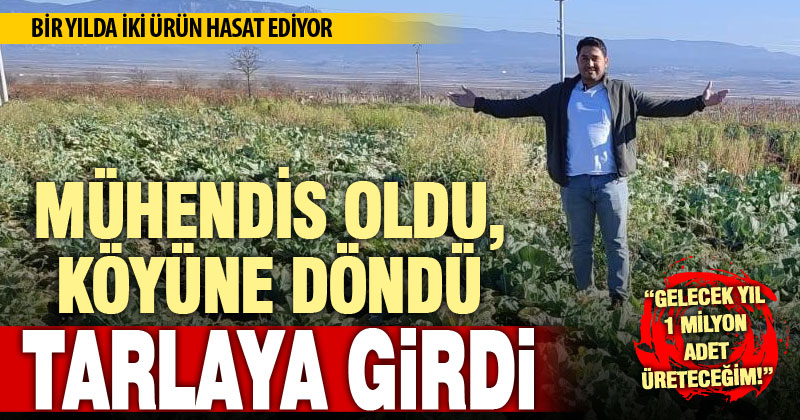 Ziraat mühendisi olup köye dönen genç, tarladan sürekli kazanç formülü buldu