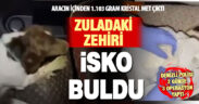 Narkotik köpek İsko, 1103 gram zehri yakaladı