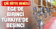 Denizli çiğ süt tedariğinde Ege’de birinci