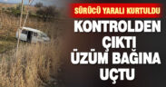 Kontrolden çıkan araç üzüm bağına uçtu