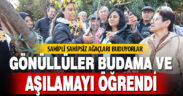 Gönüllüler budama ve aşılamayı öğrendi