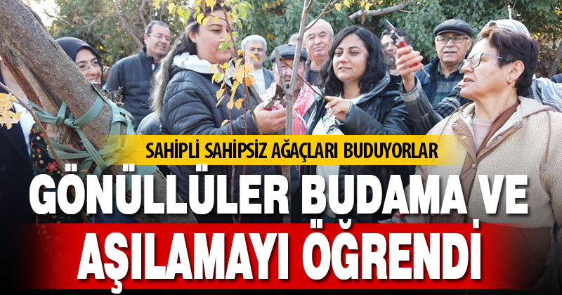 Gönüllüler budama ve aşılamayı öğrendi