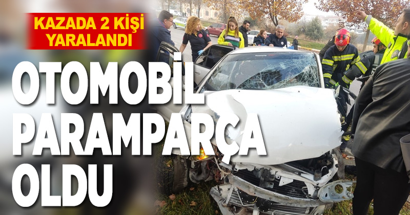 Kontrolden çıkan araç ağaca çarparak durabildi