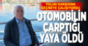 Yolun karşısına geçmeye çalışan yayaya otomobil çarptı; 1 ölü