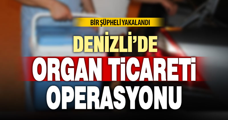 Denizli’de organ ticareti operasyonunda 1 kişi yakalandı
