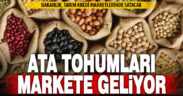Ata tohumları tarım kredi marketlerde satılacak