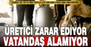 Denizli’de sütte fazla üretimin yarattığı kriz büyüyor