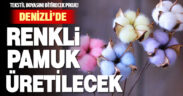Denizli’de renkli pamuk üretimi için çalışmalar başladı