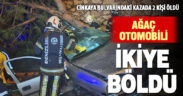 Cinkaya Bulvarında ağaca çarpan otomobilde 2 kişi öldü