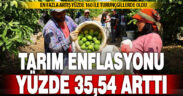 Tarım enflasyonu yıllık yüzde 35,54 arttı