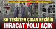 Emekli Emniyet Müdürü, Denizli’nin kekik ihracatı sorununu çözecek tesis kurdu