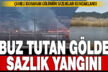 Ateşe verilen sazlıklarda binlerce canlı telef oldu