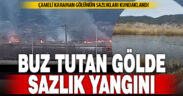 Ateşe verilen sazlıklarda binlerce canlı telef oldu