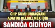 CHP, Cumhurbaşkanı adayını belirlemek için önseçim yapacak