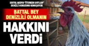 Öterken bayılan Denizli horozu, yeniden sosyal medyanın gündeminde