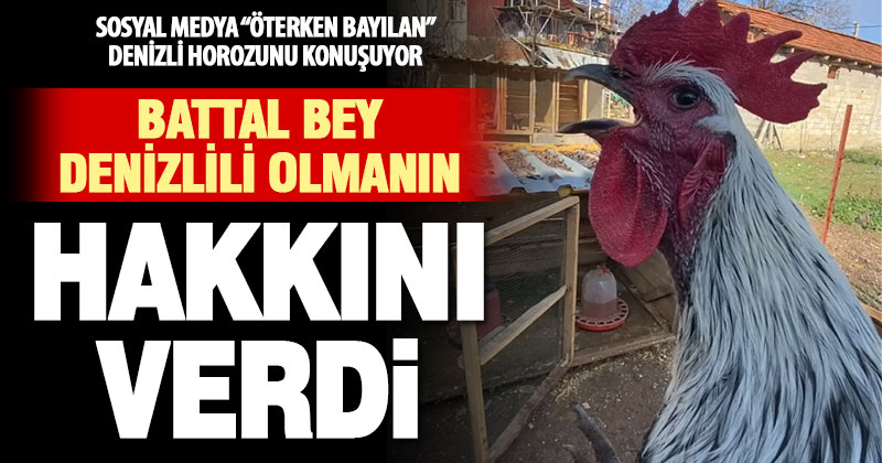 Öterken bayılan Denizli horozu, yeniden sosyal medyanın gündeminde