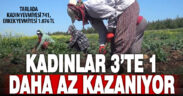 Tarlada çalışan kadın, erkekten 3’te 1 daha az kazanıyor