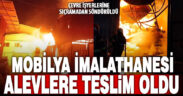 Mobilya imalathanesi alevlere teslim oldu