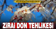 Soğuyan hava ile birlikte bir hafta boyunca zirai don yaşanacak