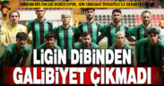 TFF 3. Lig 4. Grup: Turgutluspor: 1- Denizlispor: 1
