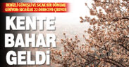 Denizli’ye bahar geldi