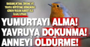 Av yasağı başladı, bakanlık herkesi uyardı