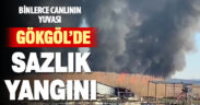 Çivril’de sazlıkların ateşe verilmesi sonucu binlerce canlı telef oldu