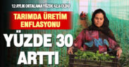 Tarım-ÜFE yıllık yüzde 29,89 arttı