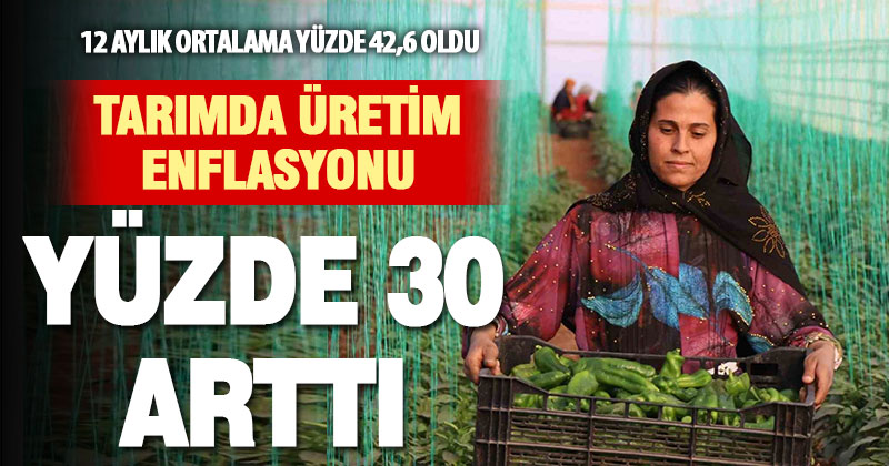 Tarım-ÜFE yıllık yüzde 29,89 arttı