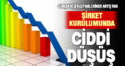 Kurulan şirket sayısında yıllık yüzde 8,7 azalış oldu