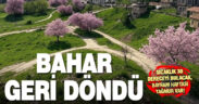 Denizli’ye bahar geri döndü: Sıcaklıklar yükseliyor, yağmur yolda!