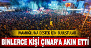 Binlerce kişi Çınar’a akın etti