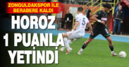 Denizlispor, Zonguldakspor ile berabere kaldı