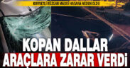 Denizli’de fırtına maddi hasara neden oldu