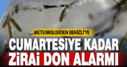 Meteoroloji iki günlük zirai don uyarısı yaptı