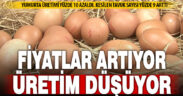 Tavuk yumurtası üretimi yıllık yüzde 10,8 azaldı