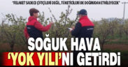 Don nedeniyle bu yıl “yok yılı” yaşanabilir