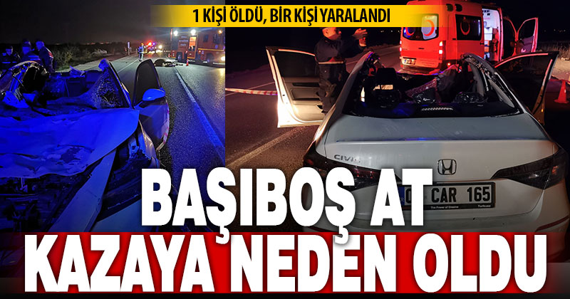 Başıboş ata çarpan otomobil takla atarak hurdaya döndü: 1 ölü 1 yaralı