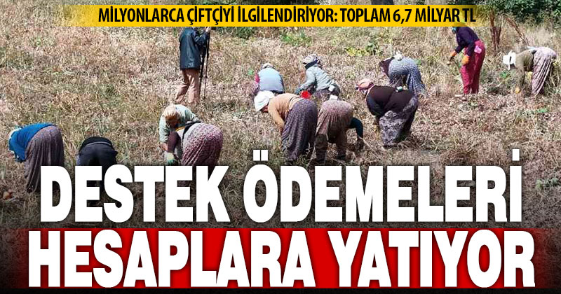 Çiftçilere destek ödemesi bugün yapılacak