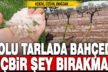 Güneyli çiftçilerin umudu başka bahara kaldı